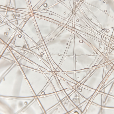 Microbiome Intelligence